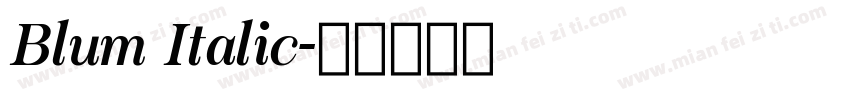 Blum Italic字体转换